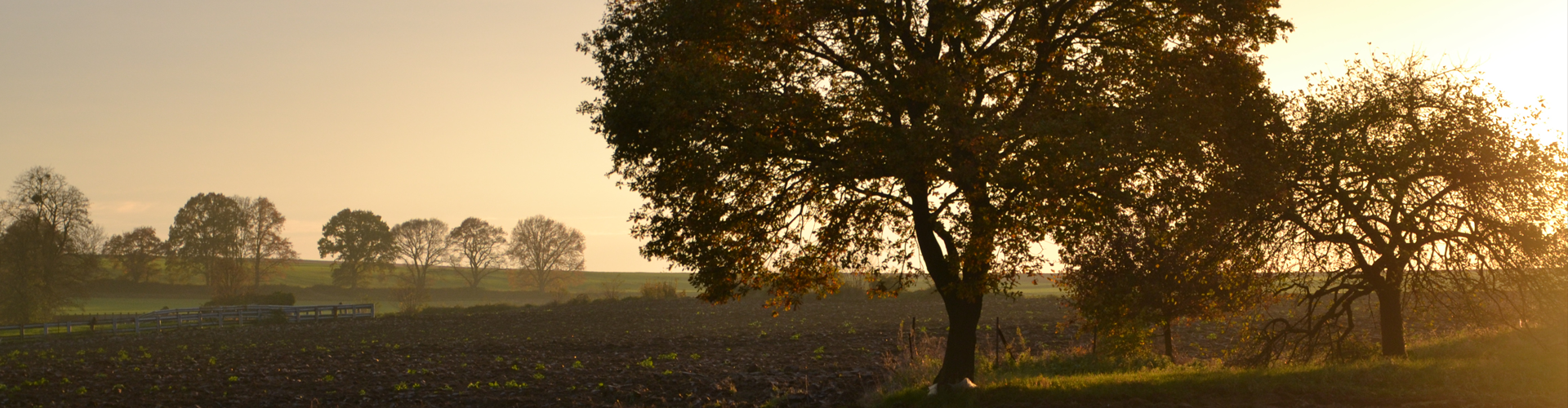 Paysage nature soleil